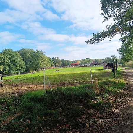 Cap Nature - T3 Et T4 En Perigord Vert - Ideal Pros Et Groupes Max 18P Champniers-et-Reilhac Esterno foto