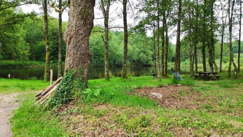 Cap Nature - T3 Et T4 En Perigord Vert - Ideal Pros Et Groupes Max 18P Champniers-et-Reilhac Esterno foto
