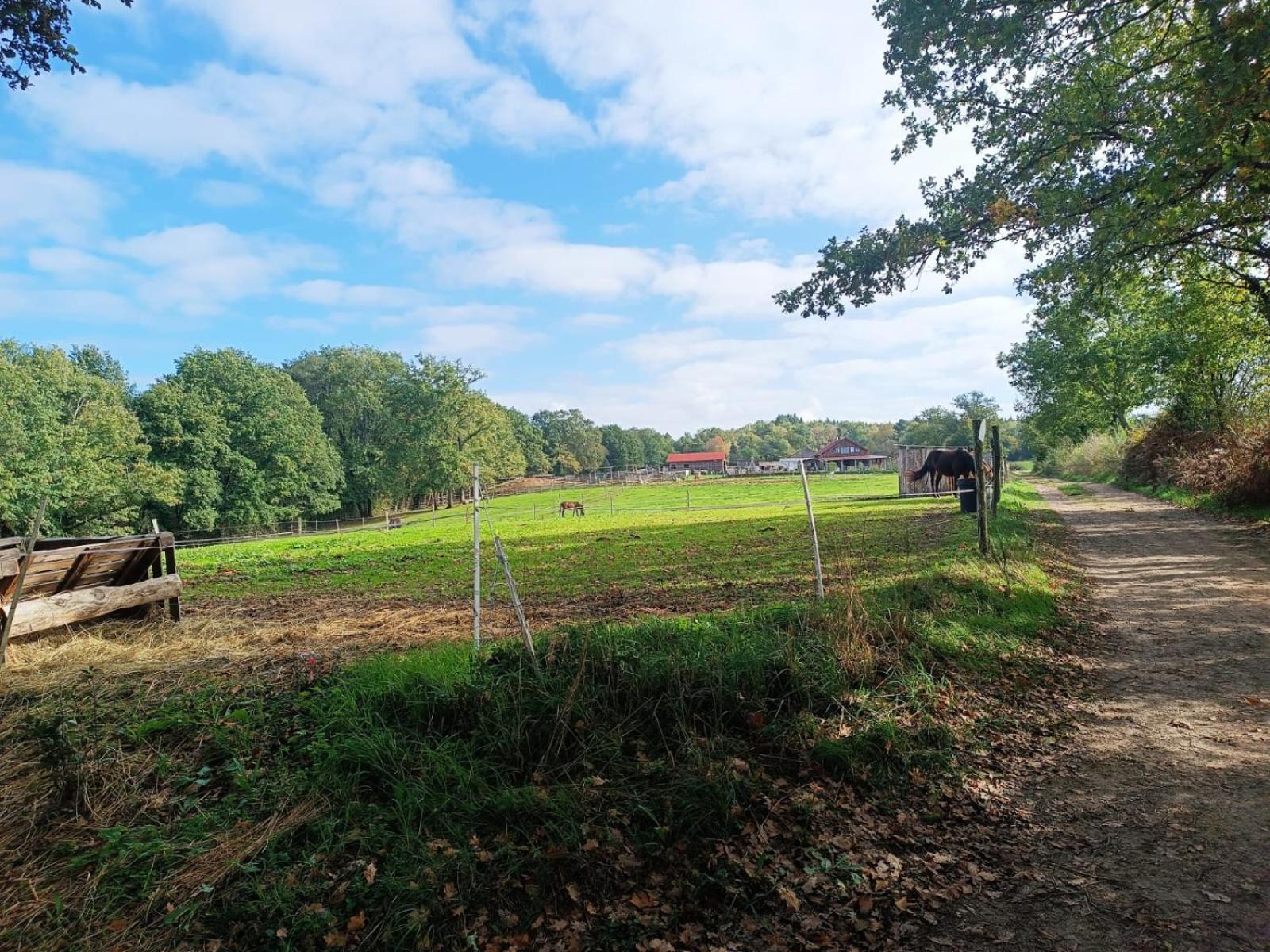 Cap Nature - T3 Et T4 En Perigord Vert - Ideal Pros Et Groupes Max 18P Champniers-et-Reilhac Esterno foto