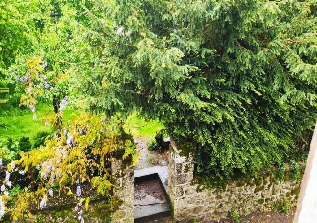 Cap Nature - T3 Et T4 En Perigord Vert - Ideal Pros Et Groupes Max 18P Champniers-et-Reilhac Esterno foto